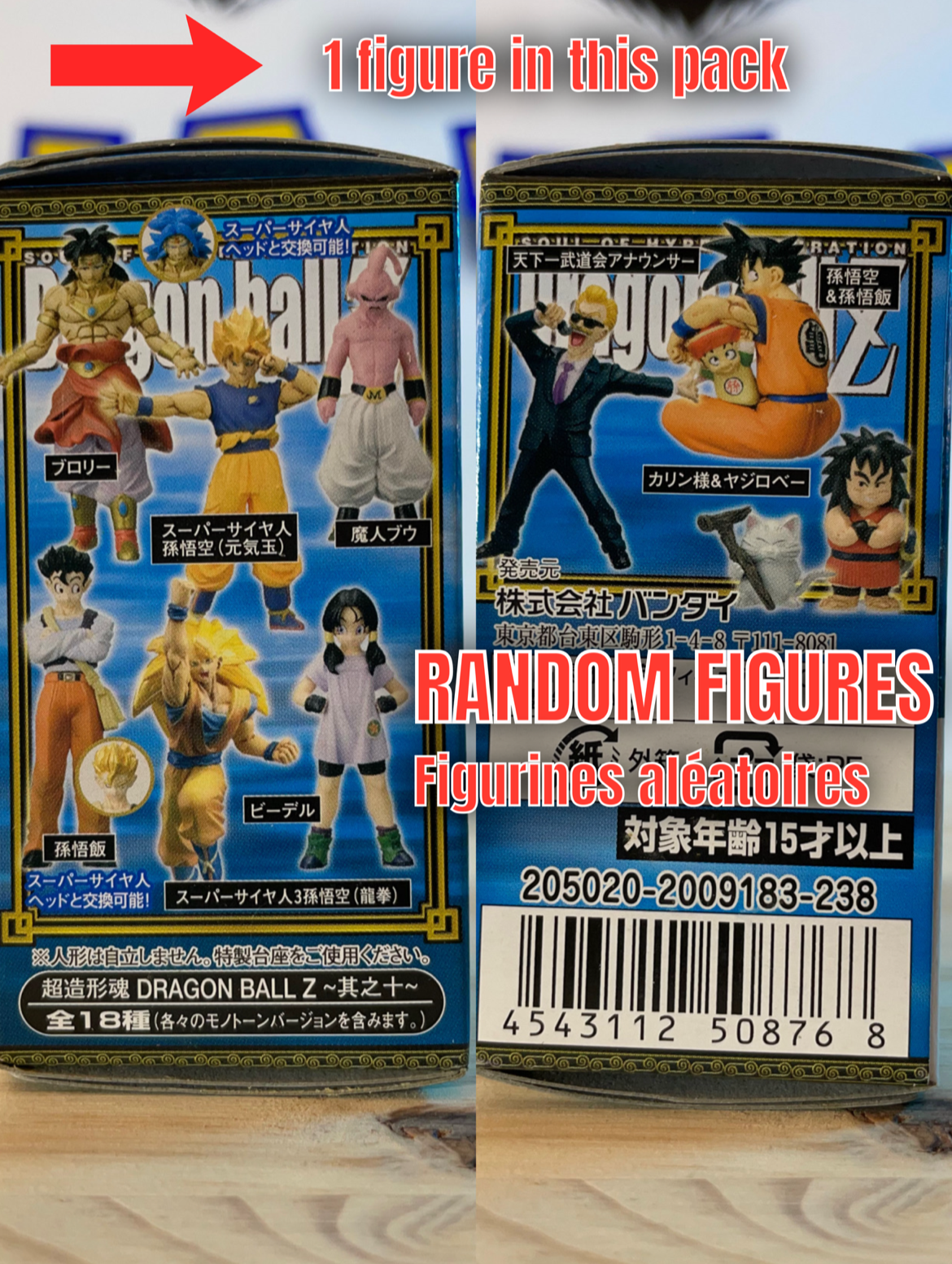 Soul of Hyper Figuration Super Modeling Soul Vol.10 Dragon Ball Z