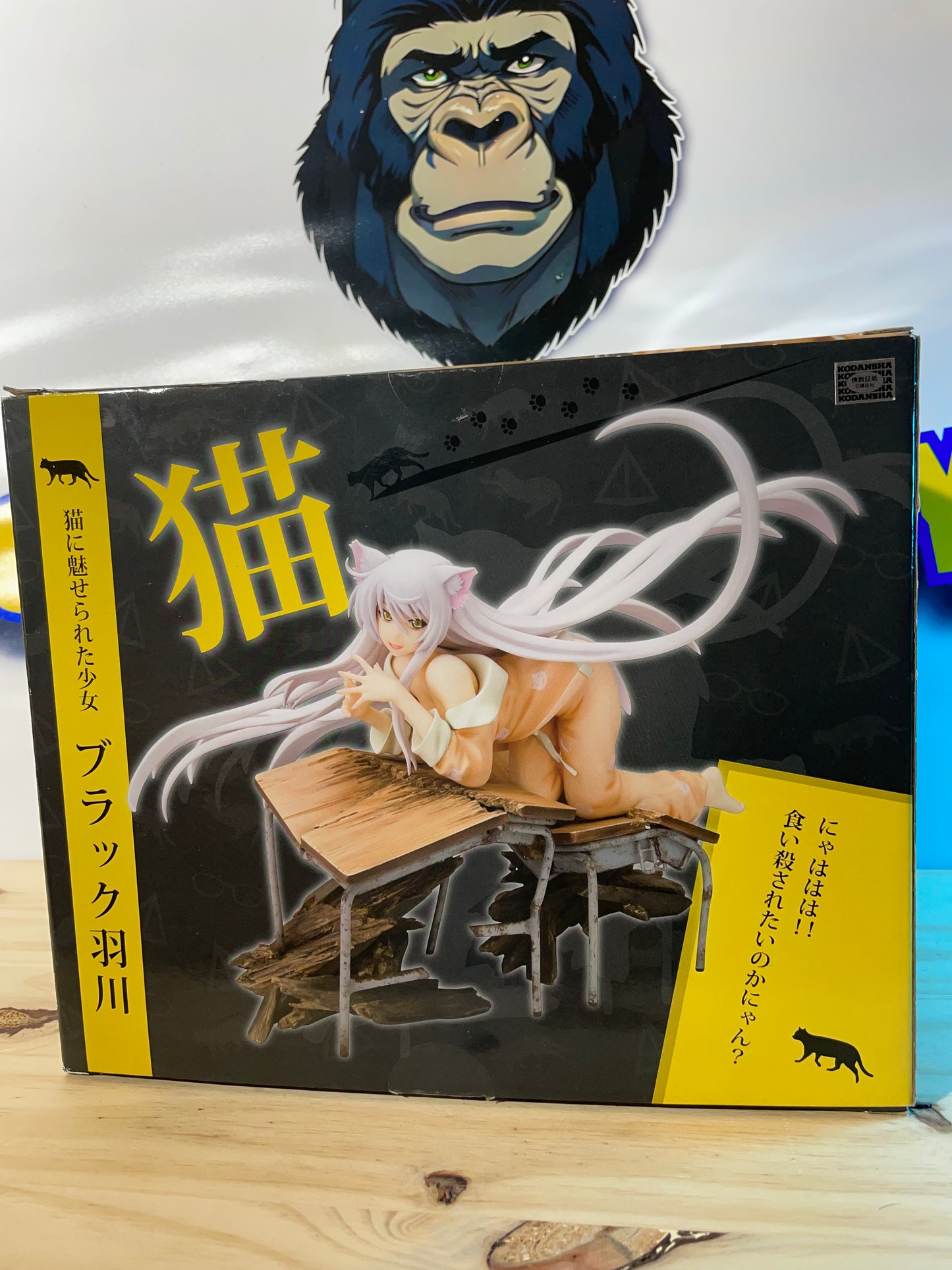 BAKEMONOGATARI BLACK HANEKAWA - Pre-painted Figure - 1/8 scale - KOTOBUKIYA