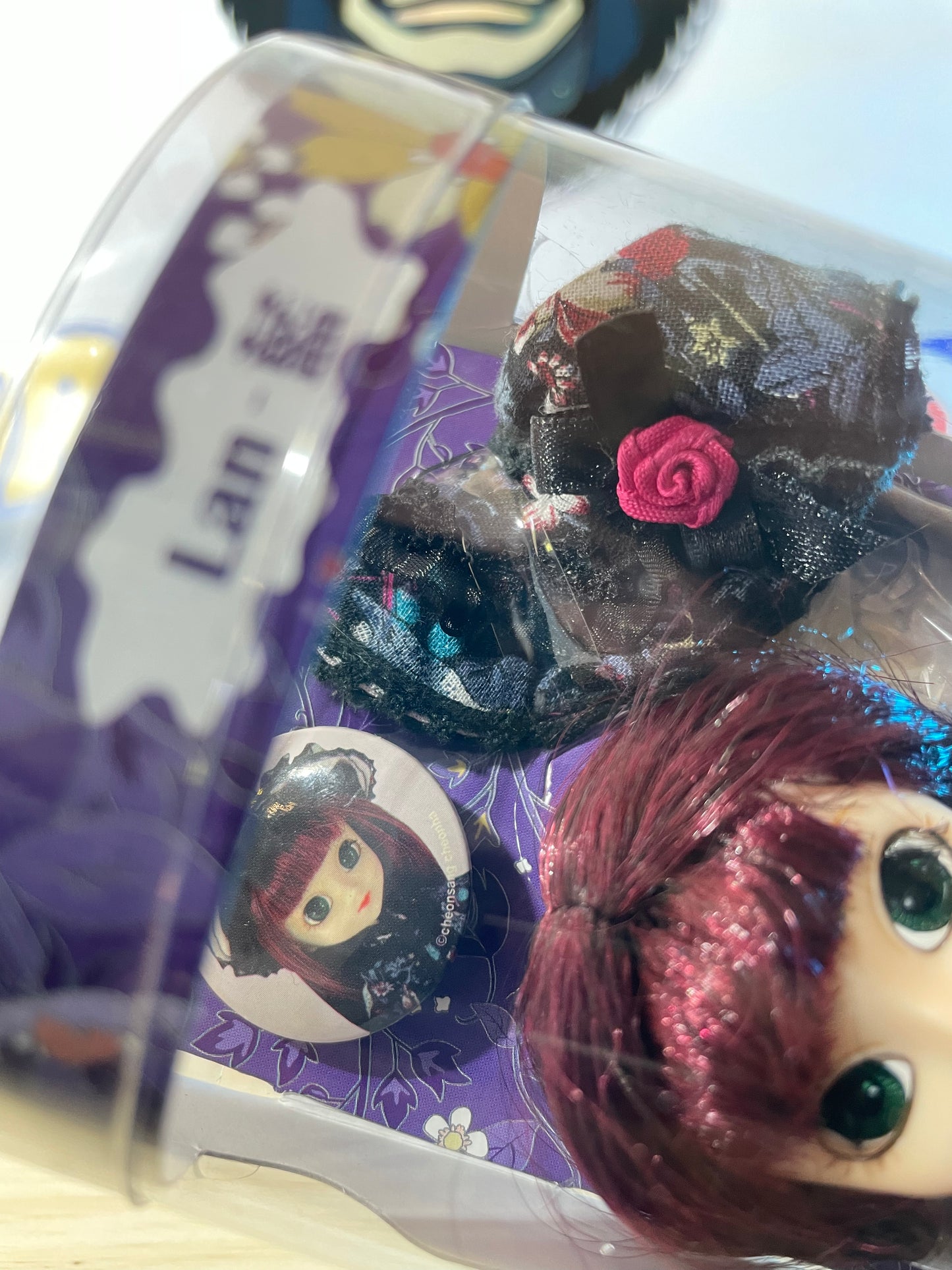 LAN - Little Pullip