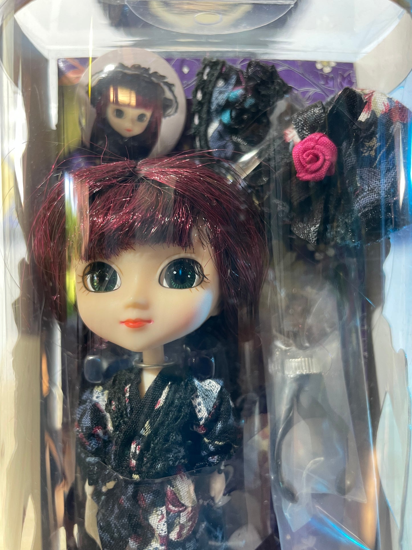 LAN - Little Pullip