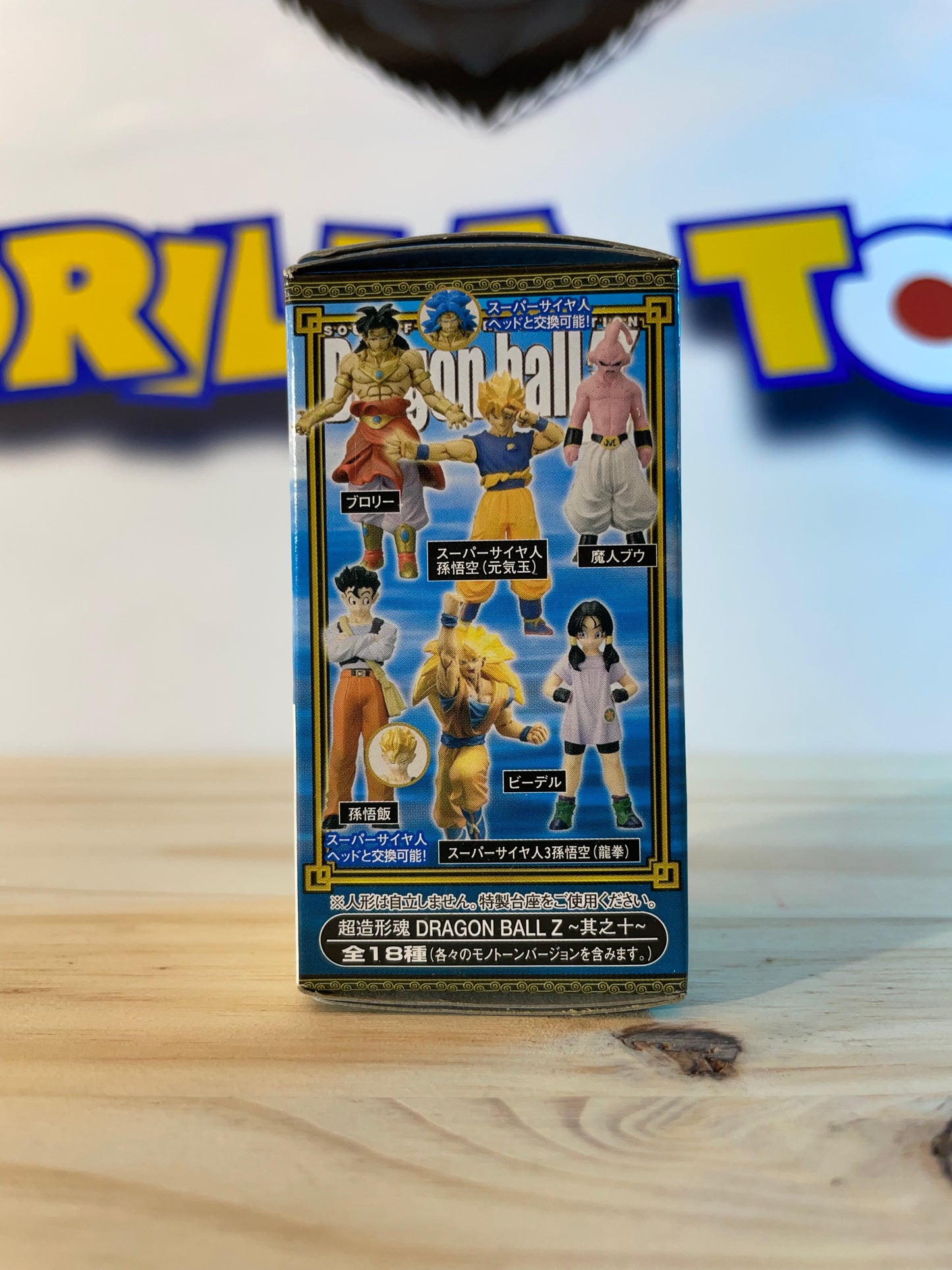 Soul of Hyper Figuration Super Modeling Soul Vol.10 Dragon Ball Z