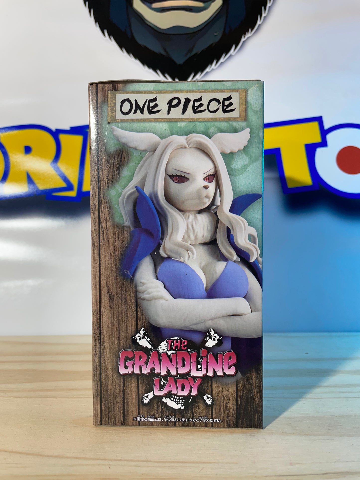 WANDA DXF - The Grandline Lady vol.10 - One Piece