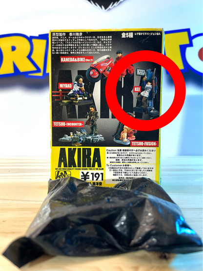 Kei - Akira Figure Collection (Unopened)