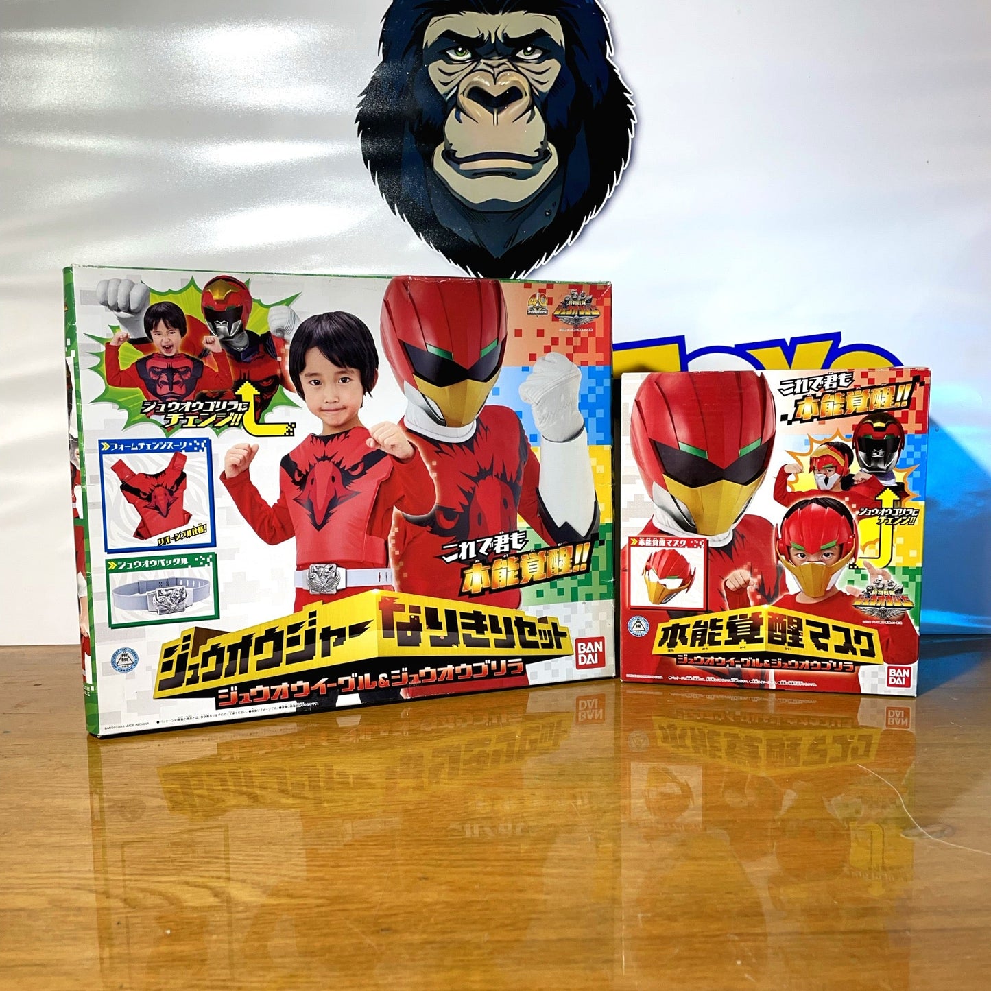 DOUBUTSU SENTAI ZYUOHGER - Déguisement / Cosplay - Power Rangers